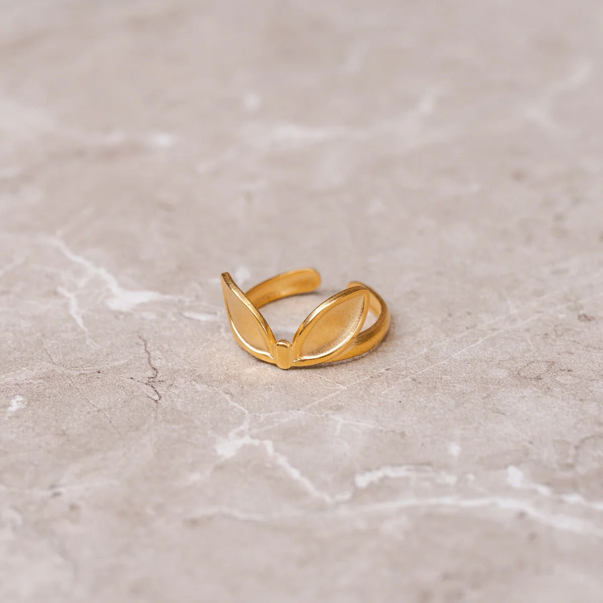Anel Folhas Ajustável Banhado em Ouro 18K
